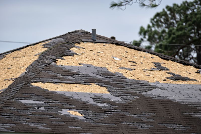 Shingle Repair Service